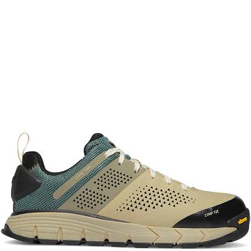 Danner Arbets Lead Time Composite Tå (NMT) Vandringsskor Dam Turkos | SE4378EX