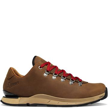 Danner Mountain Overlook Vandringsskor Herr Bruna | SE4784DN